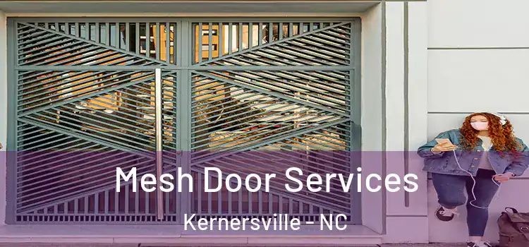 Mesh Door Services Kernersville - NC