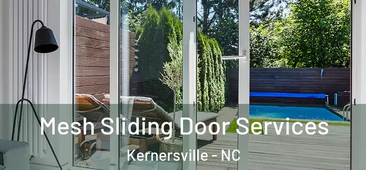 Mesh Sliding Door Services Kernersville - NC